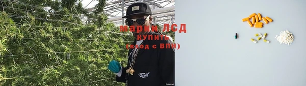 PSILOCYBIN Алексин