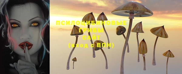 PSILOCYBIN Алексин